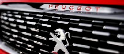 Peugeot 308 R Concept (2013) - picture 7 of 7