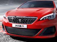 Peugeot 308 R Concept (2013) - picture 6 of 7