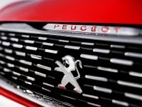 Peugeot 308 R Concept (2013) - picture 7 of 7