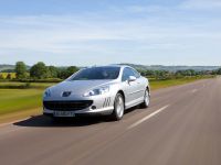 Peugeot 407 Coupe GT (2009) - picture 13 of 22