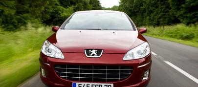 Peugeot 407 HDi FAP (2009) - picture 7 of 17