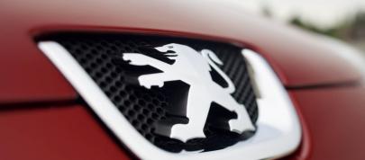 Peugeot 407 HDi FAP (2009) - picture 12 of 17