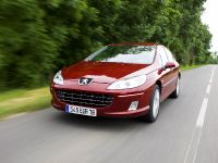 Peugeot 407 HDi FAP (2009) - picture 8 of 17