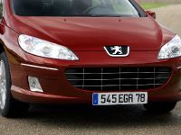 Peugeot 407 HDi FAP (2009)