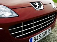 Peugeot 407 HDi FAP (2009) - picture 11 of 17