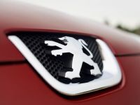 Peugeot 407 HDi FAP (2009)