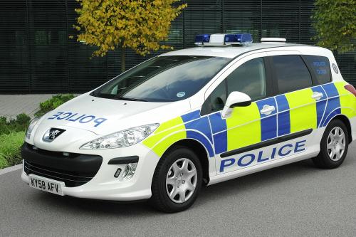 Peugeot special vehicle (2008) - picture 1 of 8