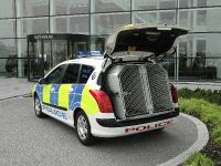 Peugeot special vehicle (2008) - picture 2 of 8