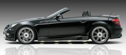 Piecha Design Mercedes-Benz SLK Performance RS (2010) - picture 7 of 10