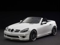 Piecha Design Mercedes-Benz SLK R171 Final Performance RS Edition (2010) - picture 1 of 6