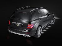 Piecha Mercedes-Benz ML (2011) - picture 8 of 8