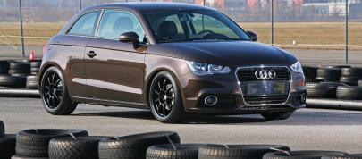 2011 Pogea Racing Audi A1