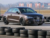 Pogea Racing Audi A1 (2011)
