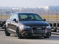 Pogea Racing Audi A1 (2011) - picture 3 of 15