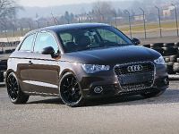 Pogea Racing Audi A1 (2011) - picture 5 of 15