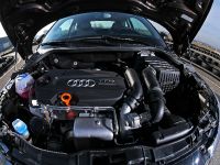 Pogea Racing Audi A1 (2011)