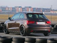 Pogea Racing Audi A1 (2011) - picture 4 of 15