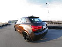 Pogea Racing Audi A1 (2011) - picture 14 of 15