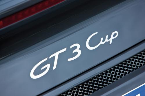 Porsche 911 GT3 Cup (2009) - picture 9 of 15