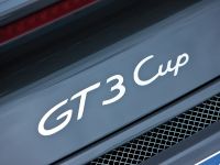 Porsche 911 GT3 Cup (2009)