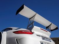Porsche 911 GT3 R Race Car (2010) - picture 3 of 3