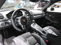 Porsche Cayman Detroit (2013) - picture 4 of 4