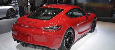 Porsche Cayman GTS Los Angeles (2014) - picture 4 of 5