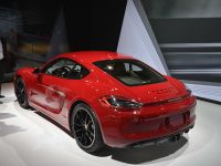 Porsche Cayman GTS Los Angeles (2014)