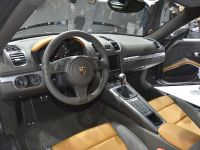 Porsche Cayman Los Angeles (2012) - picture 18 of 19