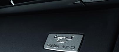 Porsche Cayman S Sport (2009) - picture 4 of 6