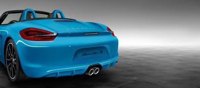 Porsche Exclusive Bespoke Boxster S (2014) - picture 4 of 8