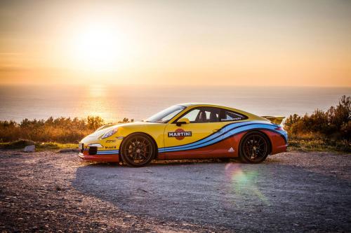 Porsche Martini Lineup (2014) - picture 9 of 9