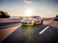 Porsche Martini Lineup (2014) - picture 2 of 9