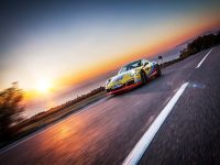 Porsche Martini Lineup (2014) - picture 5 of 9