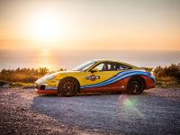 Porsche Martini Lineup (2014)