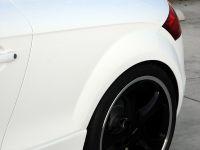 PPI PS Audi TT (2008) - picture 13 of 17