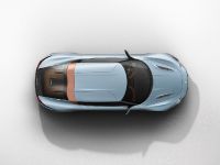 Quant e-Sportlimousine nanoFLOWCELL Concept (2014) - picture 4 of 4