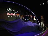 RB9 Race Car (2013) - picture 2 of 11