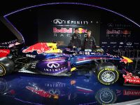 RB9 Race Car (2013) - picture 4 of 11