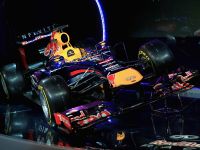 RB9 Race Car (2013) - picture 6 of 11