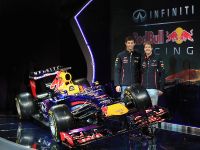 RB9 Race Car (2013) - picture 7 of 11