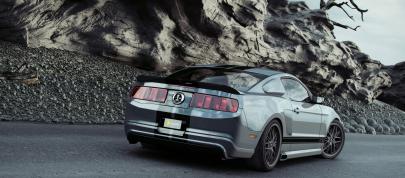 Reifen Koch Konquistador Mustang (2012) - picture 4 of 4