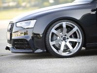 Rieger Audi A5 (2012) - picture 6 of 12