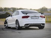 Rieger Audi A5 (2012) - picture 11 of 12