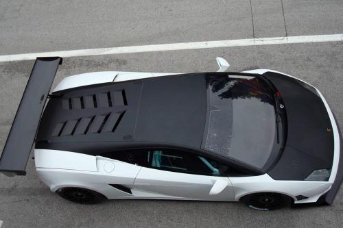 Reiter Lamborghini LP600+ GT3 (2011) - picture 1 of 5