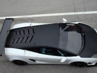 Reiter Lamborghini LP600+ GT3 (2011) - picture 3 of 5