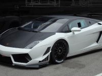 Reiter Lamborghini LP600+ GT3 (2011) - picture 1 of 5