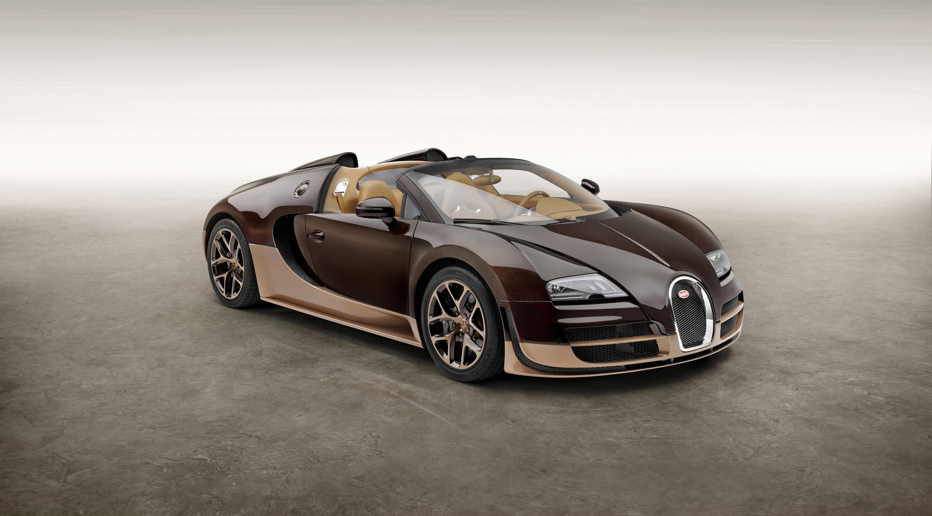 Rembrandt Bugatti Veyron Grand Sport Vitesse