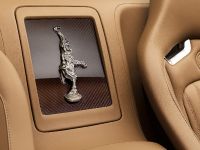 Rembrandt Bugatti Veyron Grand Sport Vitesse (2014)