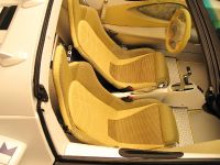 Rinspeed sQuba (2008) - picture 67 of 81